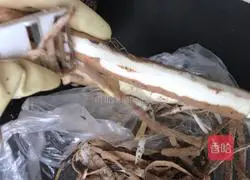 Illustration of how to make black fungus and yam spine soup 8