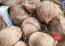 Coconut Silky Chicken and Barley Soup Recipe Illustration 1