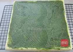 Matcha stump cake roll recipe 17