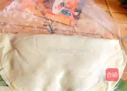 Illustration of homemade large fried dumplings 3