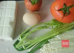 Illustration of how to make hot and sour tomato soup 1