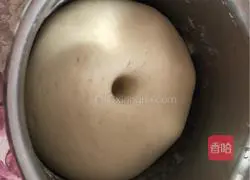 Illustration of how to make bear pizza 6