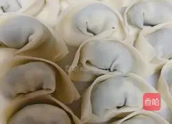 Illustration of home-style leek and egg wontons 6