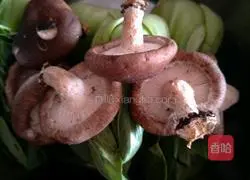 Illustration of how to make pork buns with vegetables and mushrooms 2