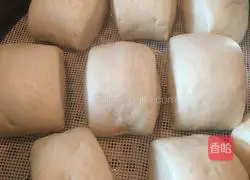 Illustration of how to make gold and silver milk-flavored steamed buns 7