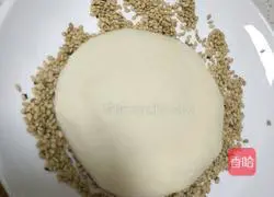 Illustration of how to make bean curd noodles 9