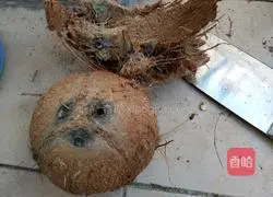 Illustration of how to make freshly squeezed coconut juice 1