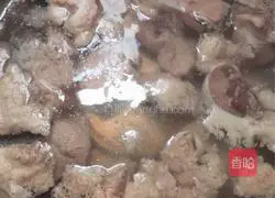 Papaya Fan Bone Soup Recipe Illustration 1