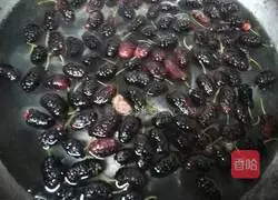 Illustration of how to make mulberry juice 3