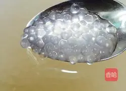 Mango Sago Recipe Illustration 7