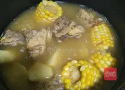 Cordyceps flower corn yam bone soup recipe illustration 12