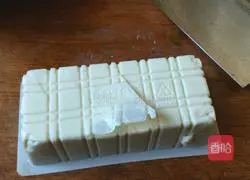 Wensi Tofu Recipe Illustration 2