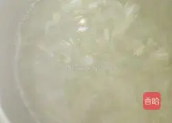 Winter Melon and Shrimp Soup Illustration 4