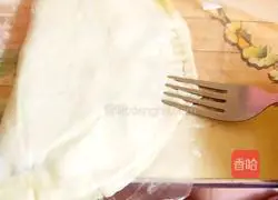 Illustration of homemade large fried dumplings 4