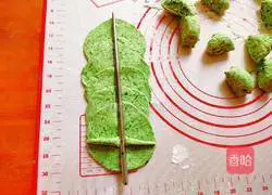 Spring Illustration of how to make the taste 14