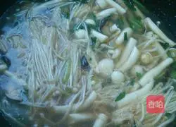 Three fresh soup recipes 9