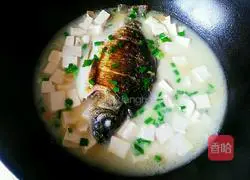Illustration of how to make crucian carp tofu soup 7