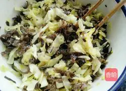 Illustration of making pancakes with fungus, cabbage and fungus 12