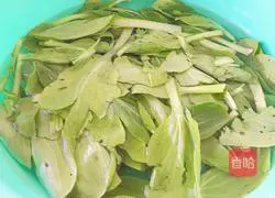 Winter Melon, Vegetables, Peanuts, Beef Meatballs Soup Illustration 4