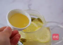 Lemon Mint Illustration of how to make water 8