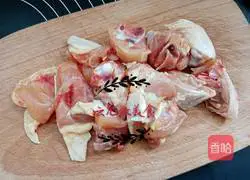 Illustration of how to make six bacteria soup 3