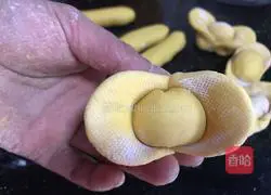 Gold Illustration of making Yuanbao steamed buns 7