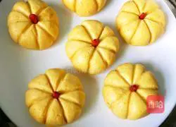 Pumpkin pie recipe 15