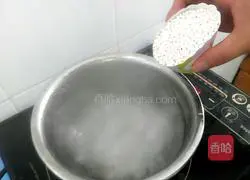 Coconut Mango Sago Recipe Illustration 3