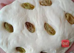 Illustration of how to make steamed buns 13