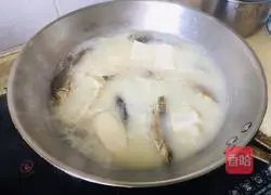 Illustration of how to make crucian carp, winter melon and tofu soup 7