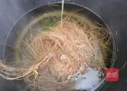 Corn silk tea Practice illustration 5