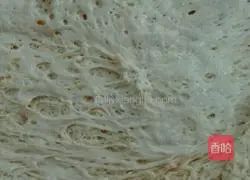 Illustration of how to make mushroom and pork buns 6