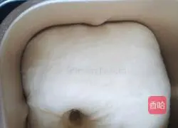 Illustration of how to make meat floss rolls 5