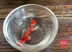 Gardenia chicken soup recipe 10