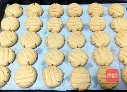 Peanut Butter Cookies Recipe Illustration 10