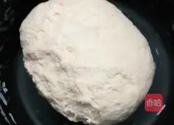 Illustration of how to make various pasta 1