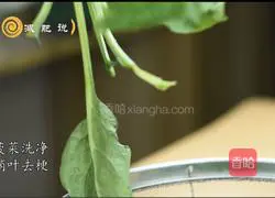 Slimming Soup Italian Spinach Illustration of how to make soup 2