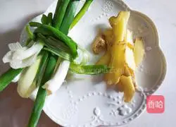 Fresh Matsutake Chicken Soup Illustration 3