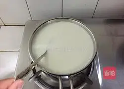 Mango Illustration of making yogurt 2