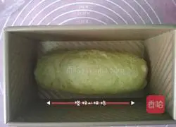 Watermelon toast recipe 16