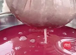 Wine Brewing Method Illustration 6