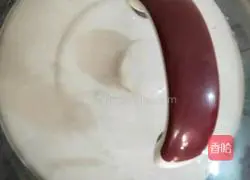 Tiger Lactobacillus, Dendrobium and Sea Coconut Spare Ribs Soup Illustration 4