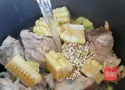 Corn Pork bone soup recipe 3