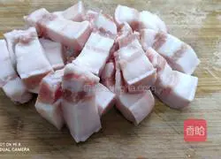 Illustration of braised pork belly 1