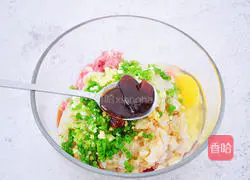 Shrimp and pork wontons Practice illustration 5