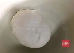 For shell steamed buns Practice illustration 3