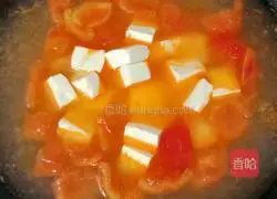 Illustration of tomato, mushroom and tofu soup 12