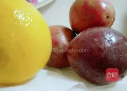 Passion Fruit Honey Lemon Tea Recipe Illustration 1