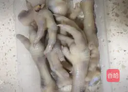 Isinglass Chicken Feet Soup Recipe Illustration 3