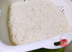 Illustration of homemade fermented rice 8